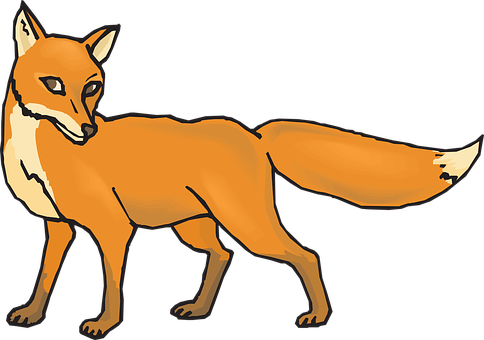 Orange Fox Illustration PNG Image