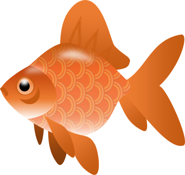 Orange Goldfish Illustration PNG Image