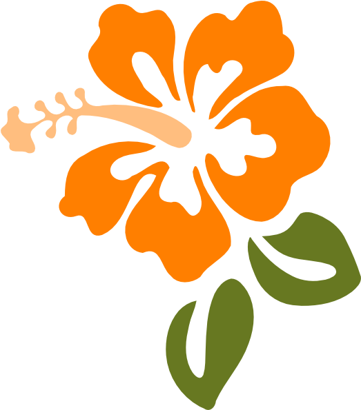 Orange Hibiscus Vector Art PNG Image