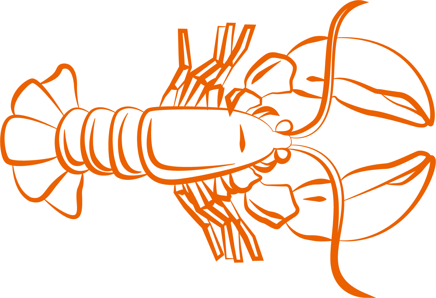 Orange Lobster Illustration PNG Image