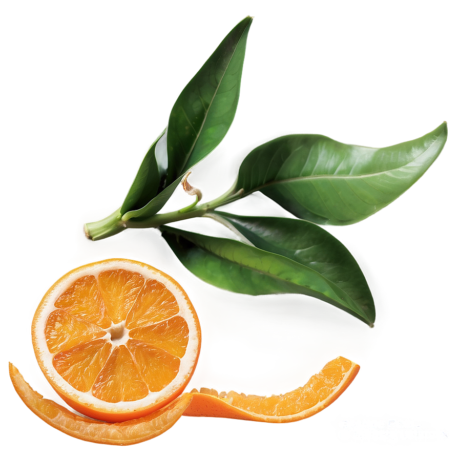 Orange Peel Twist Png Ckc PNG Image