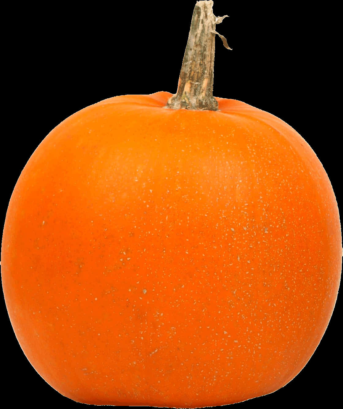 Orange Pumpkin Black Background PNG Image