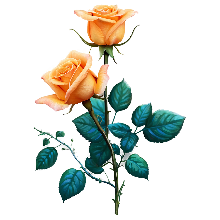 Orange Roses Sunset Png Avo83 PNG Image