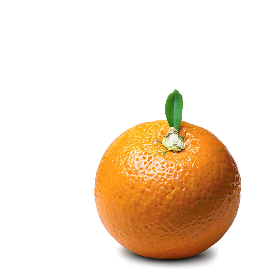 Orange Segment Png Kla36 PNG Image