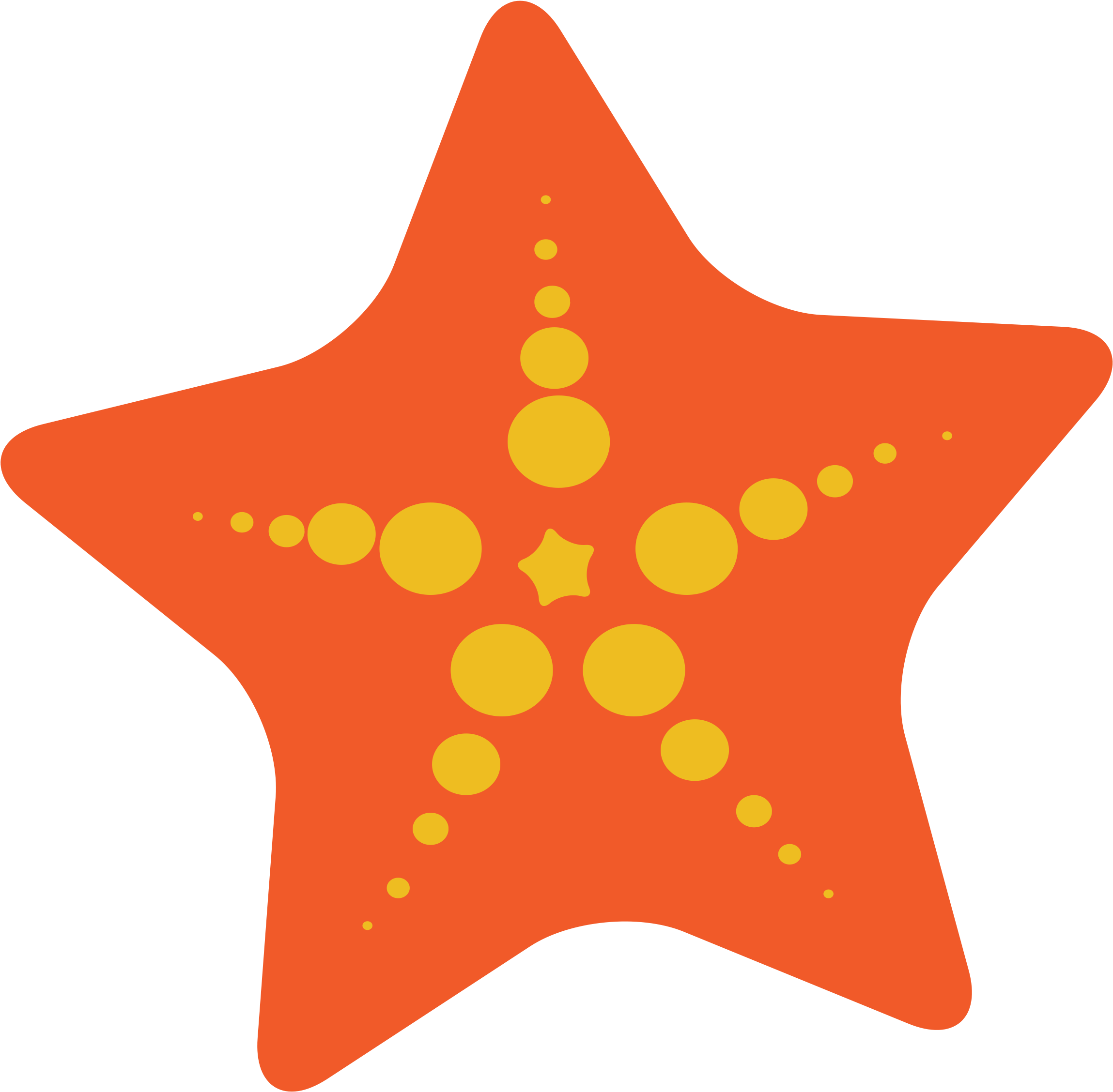 Orange Starfish Clipart PNG Image