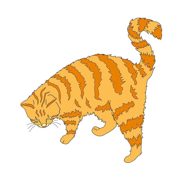 Orange Striped Cat Illustration PNG Image