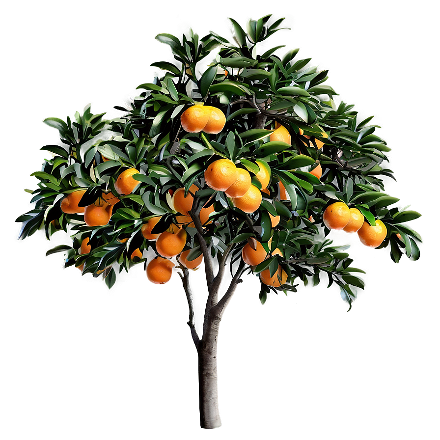 Orange Tree Png Tqg62 PNG Image