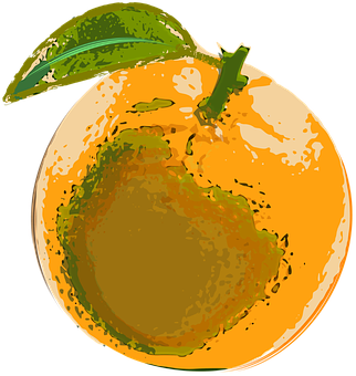 Orange Vector Art Illustration PNG Image