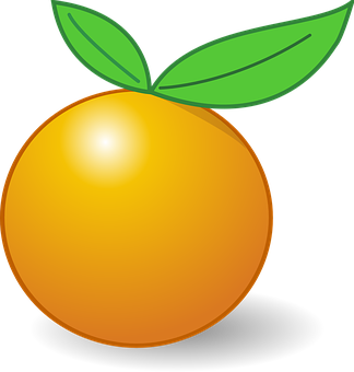 Orange Vector Illustration PNG Image