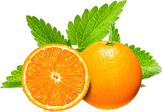 Orangeand Mint Freshness PNG Image