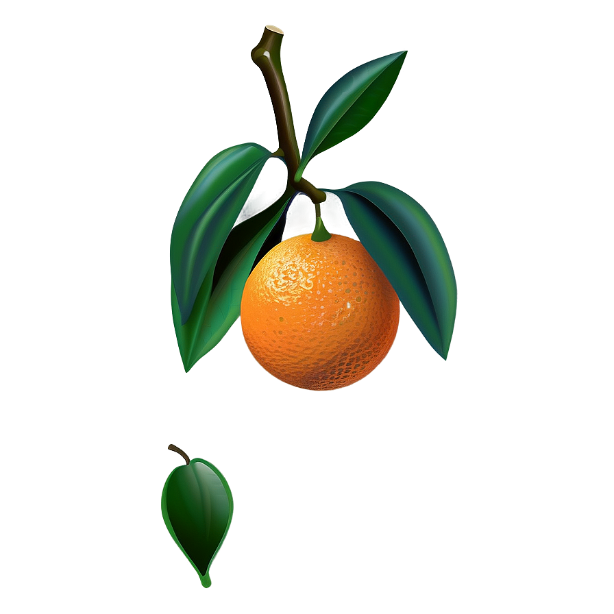 Oranges Clipart Png 06112024 PNG Image