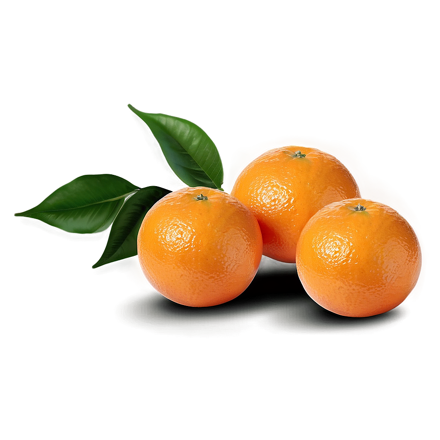 Oranges On White Background Png 24 PNG Image