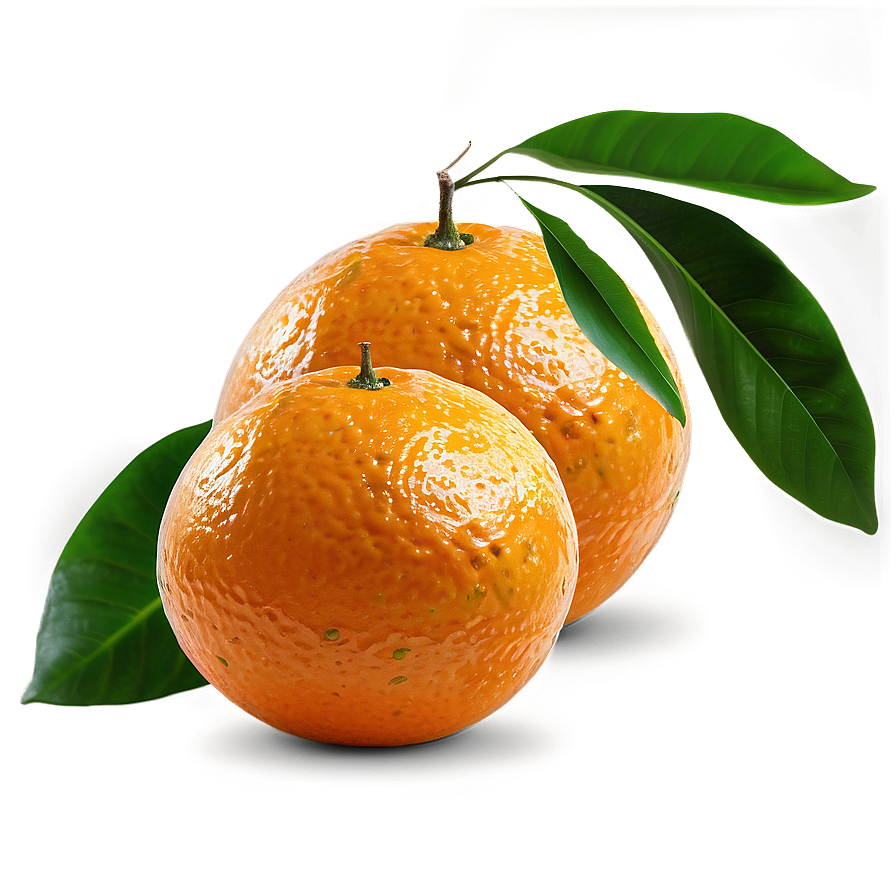 Oranges With Leaves Png Nwc45 PNG Image