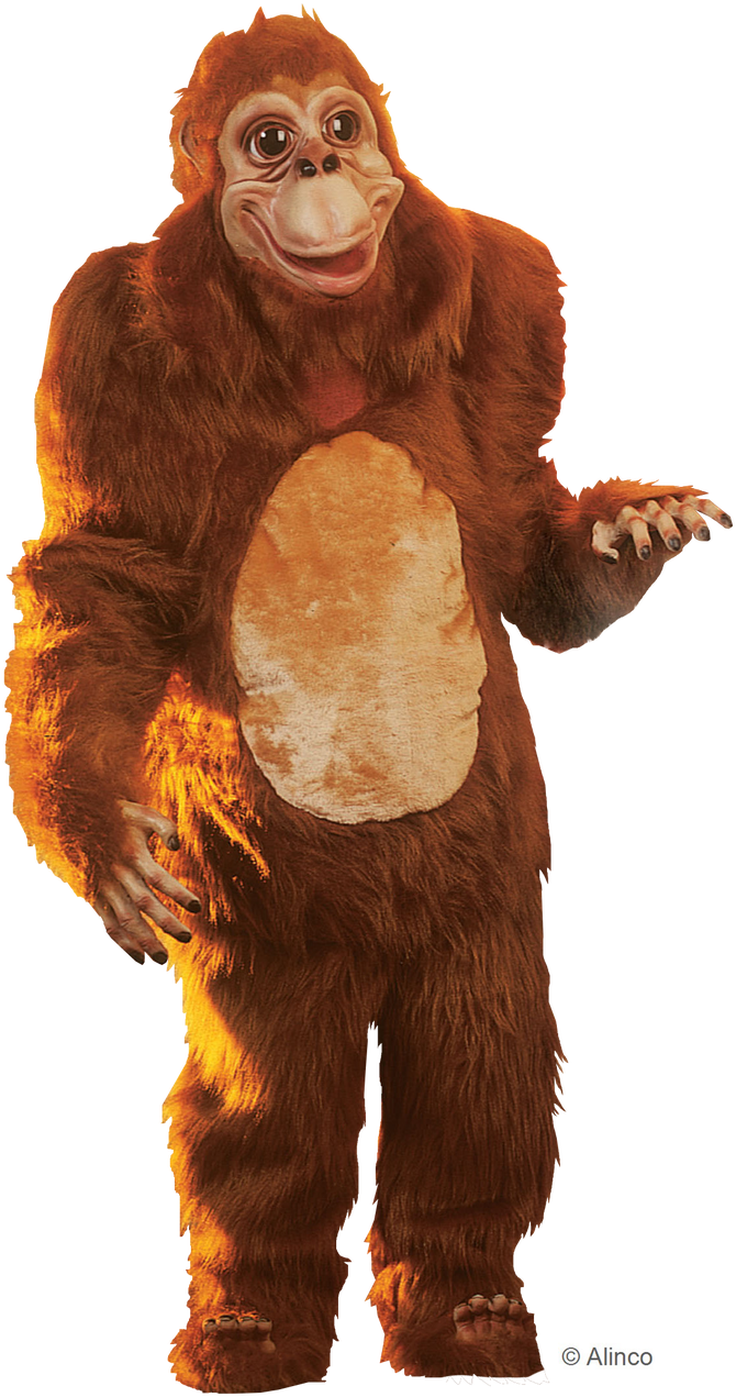 Orangutan Costume Standing Pose PNG Image