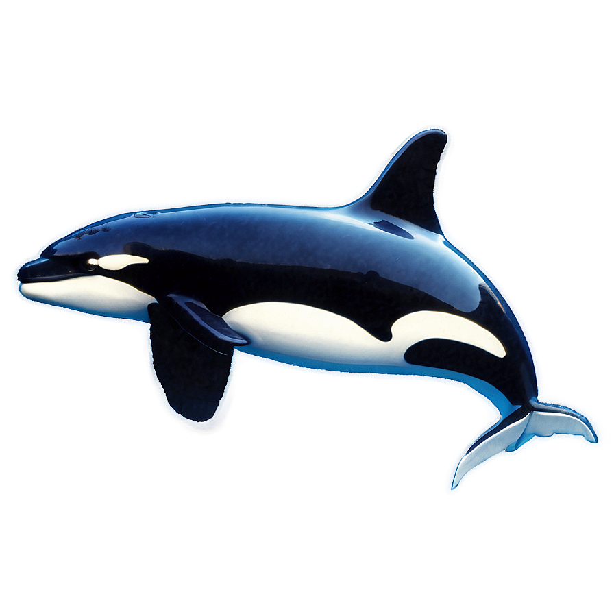 Orca In Sea Png 97 PNG Image