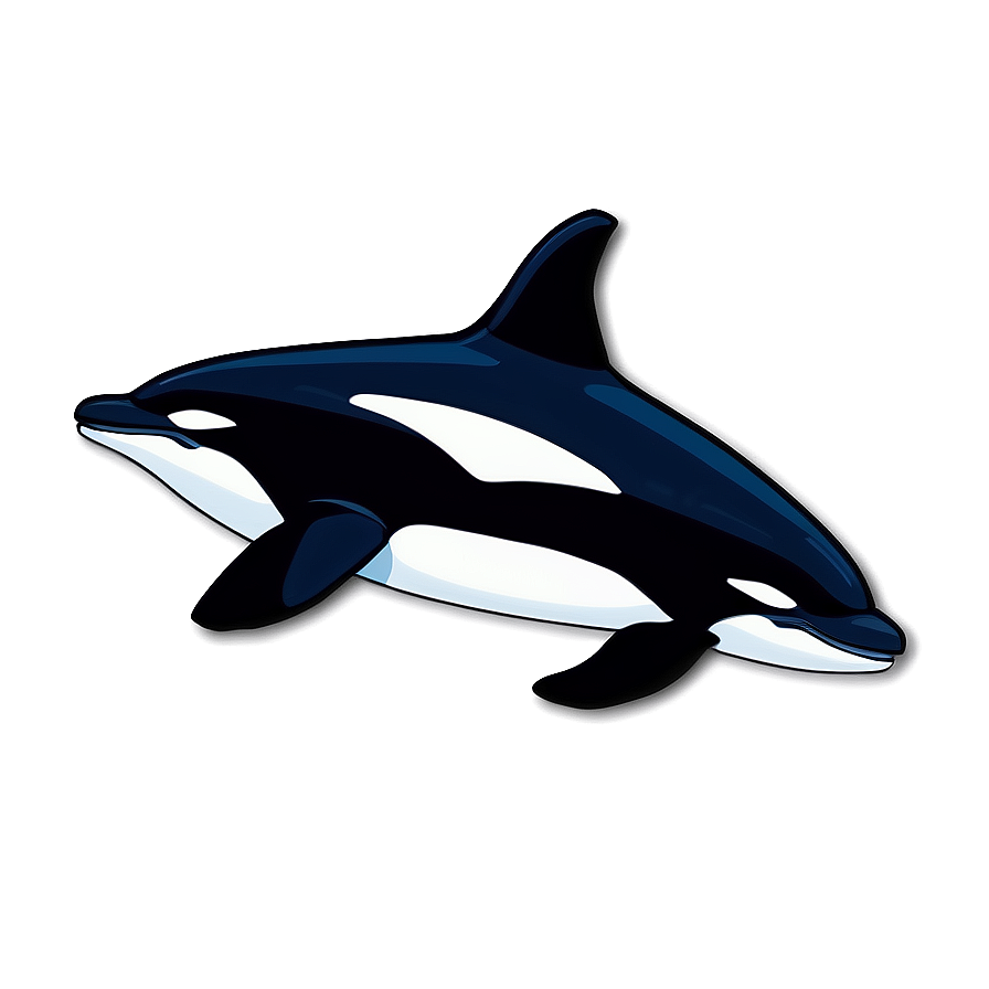 Orca Migration Png 05242024 PNG Image