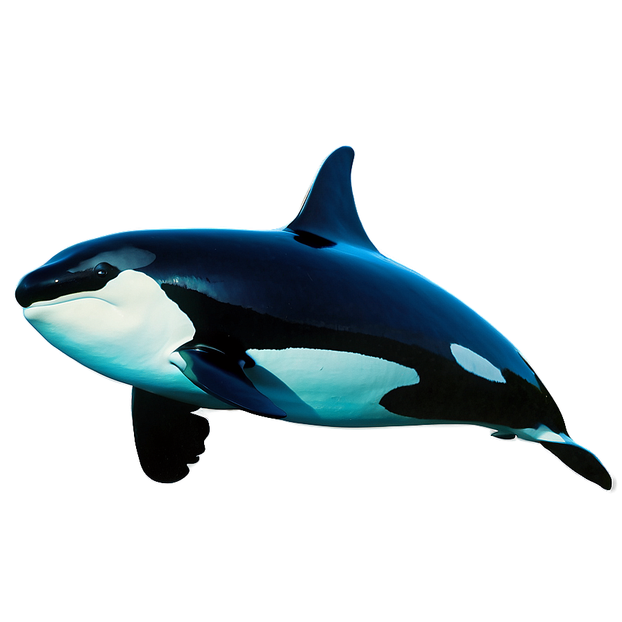 Orca Underwater Png Vcq7 PNG Image