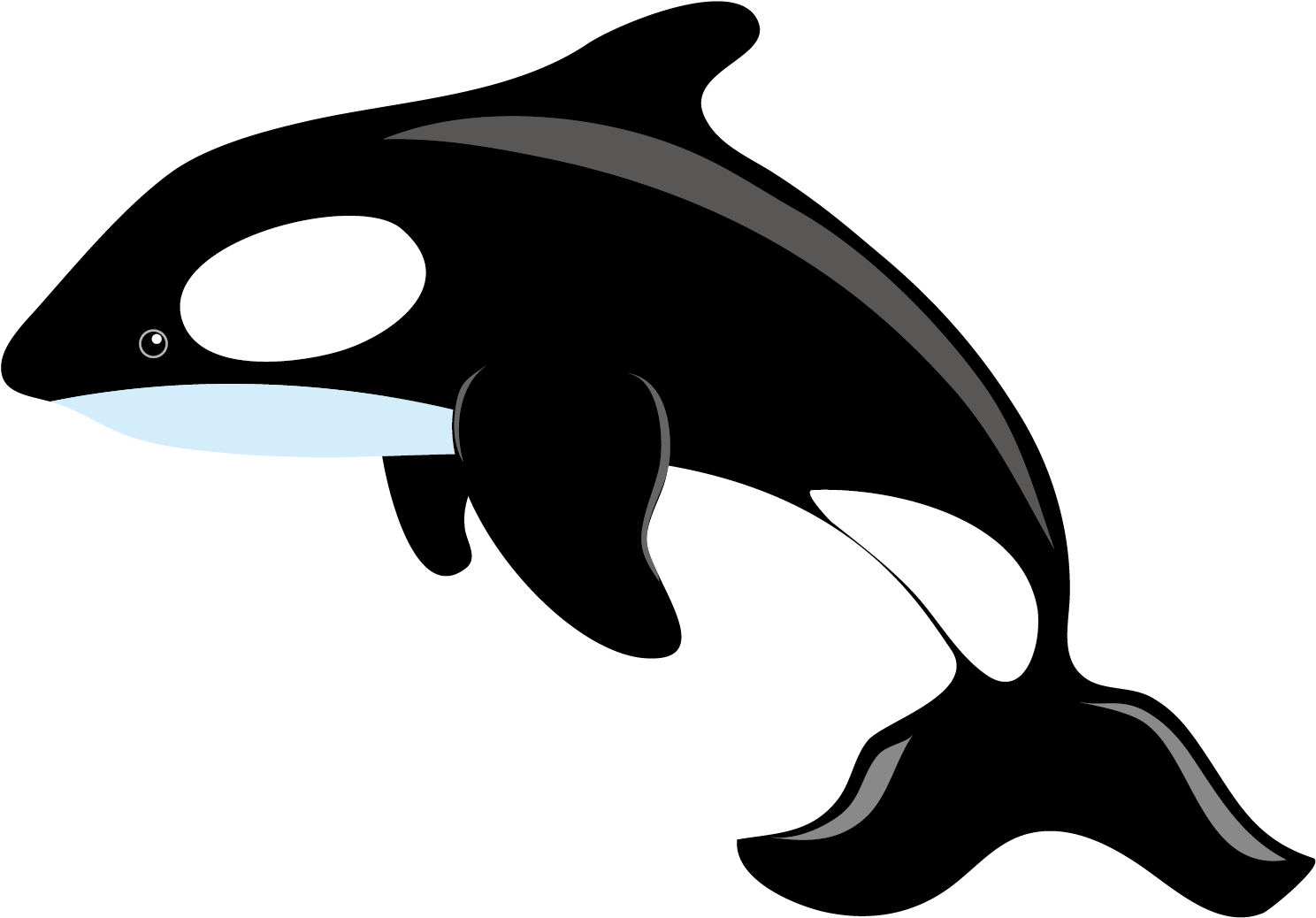 Orca Whale Cartoon Clipart PNG Image