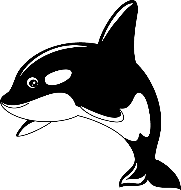 Orca Whale Cartoon Clipart PNG Image