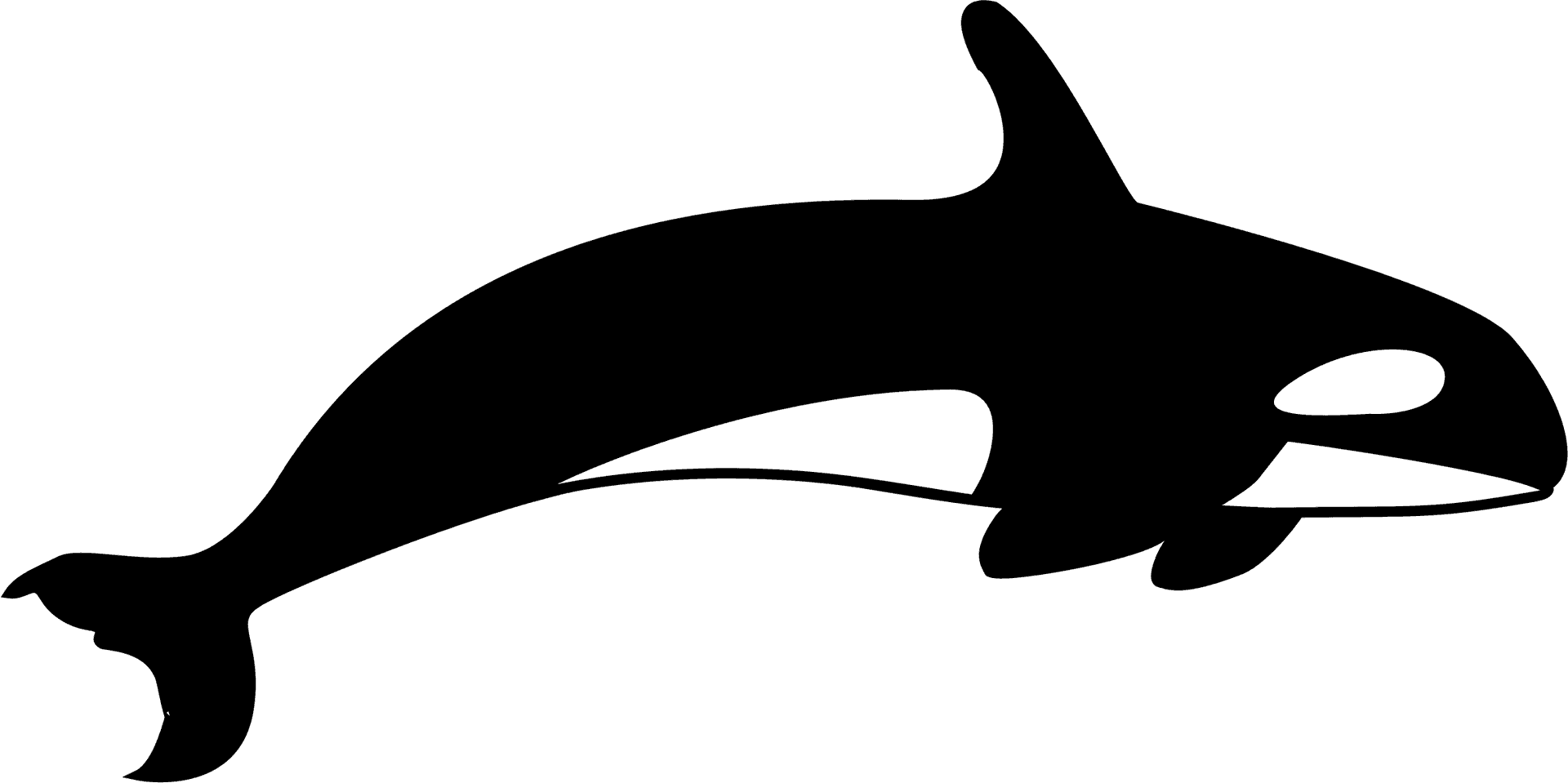 Orca Whale Clipart PNG Image