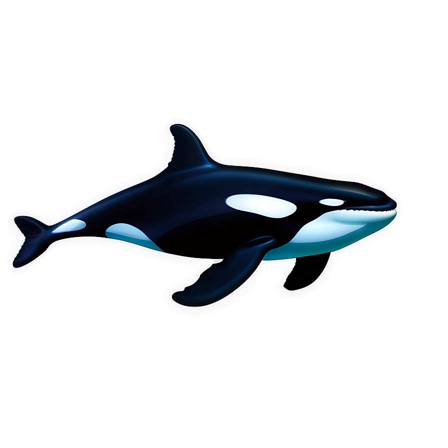 Orca Whale Underwater Scene Png Xhw PNG Image