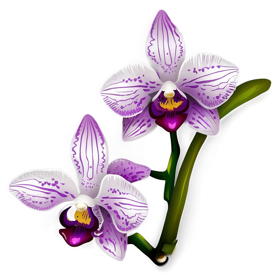 Orchid Clipart Png 92 PNG Image