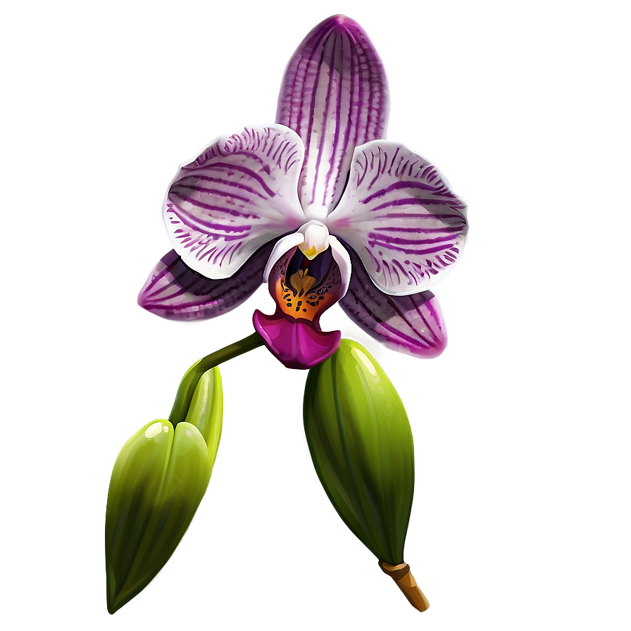 Orchid Flower Sketch Png 05252024 PNG Image