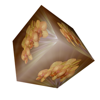 Orchid Illusion Cube PNG Image