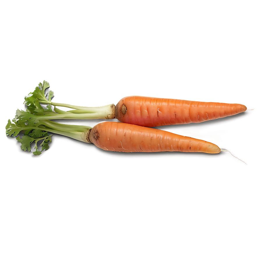 Organic Carrot Png Avd28 PNG Image