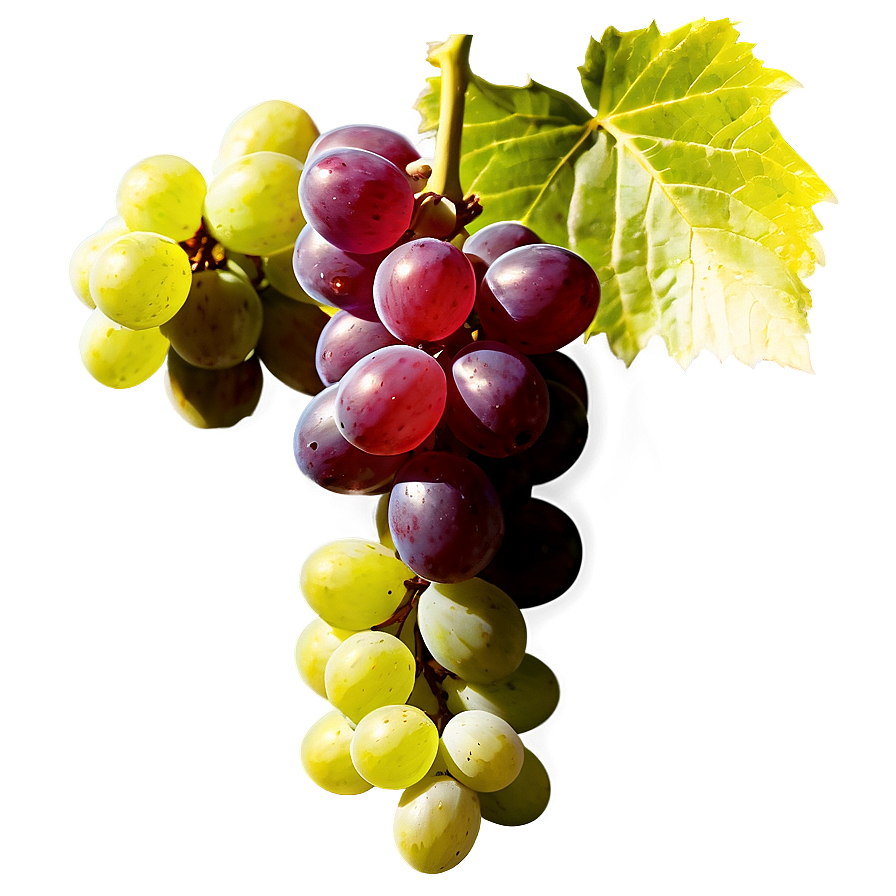 Organic Grapes Png Eul PNG Image