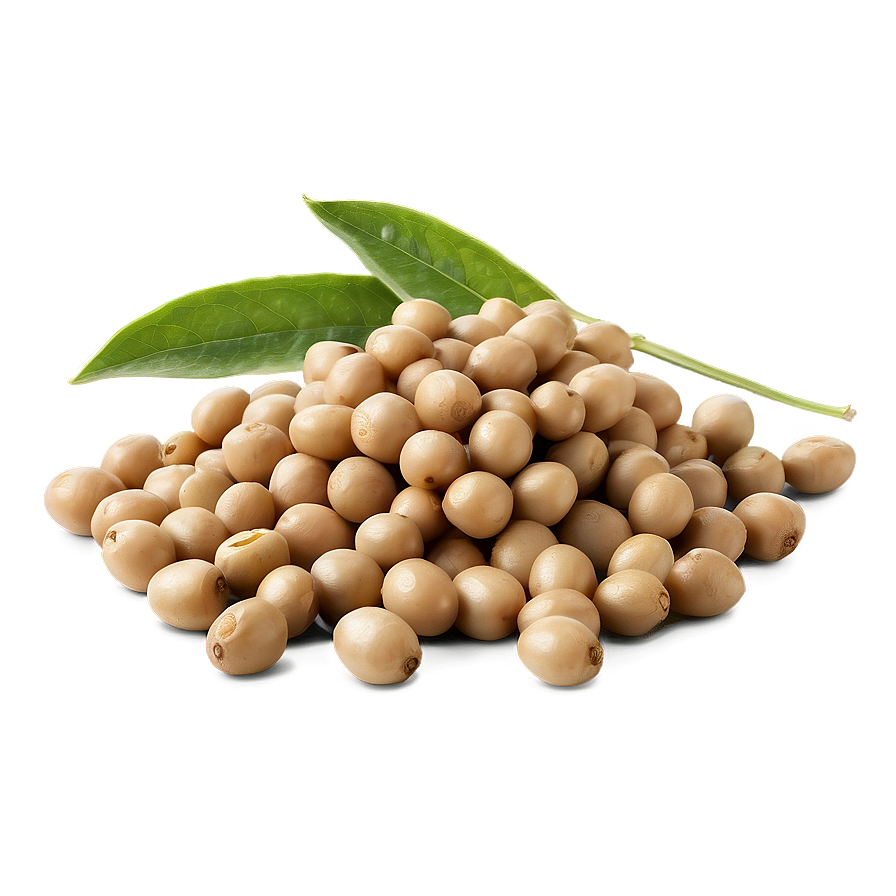 Organic Soybeans Pile Png Pcn PNG Image