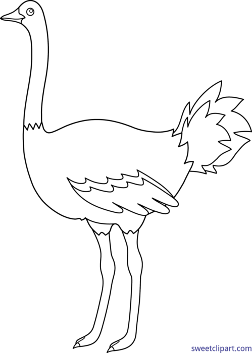 Ostrich Line Art Illustration PNG Image