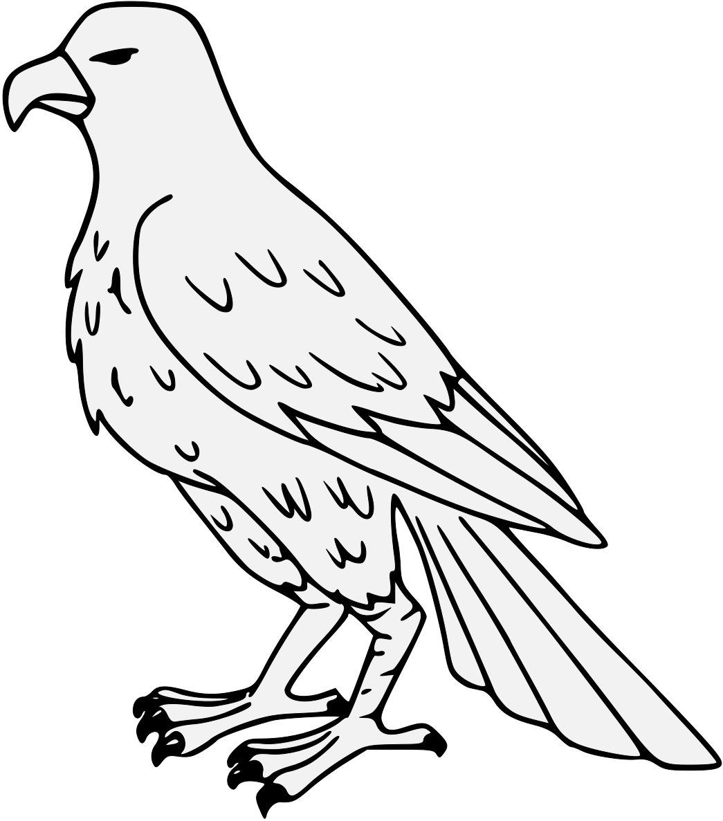 Outlined Falcon Illustration PNG Image