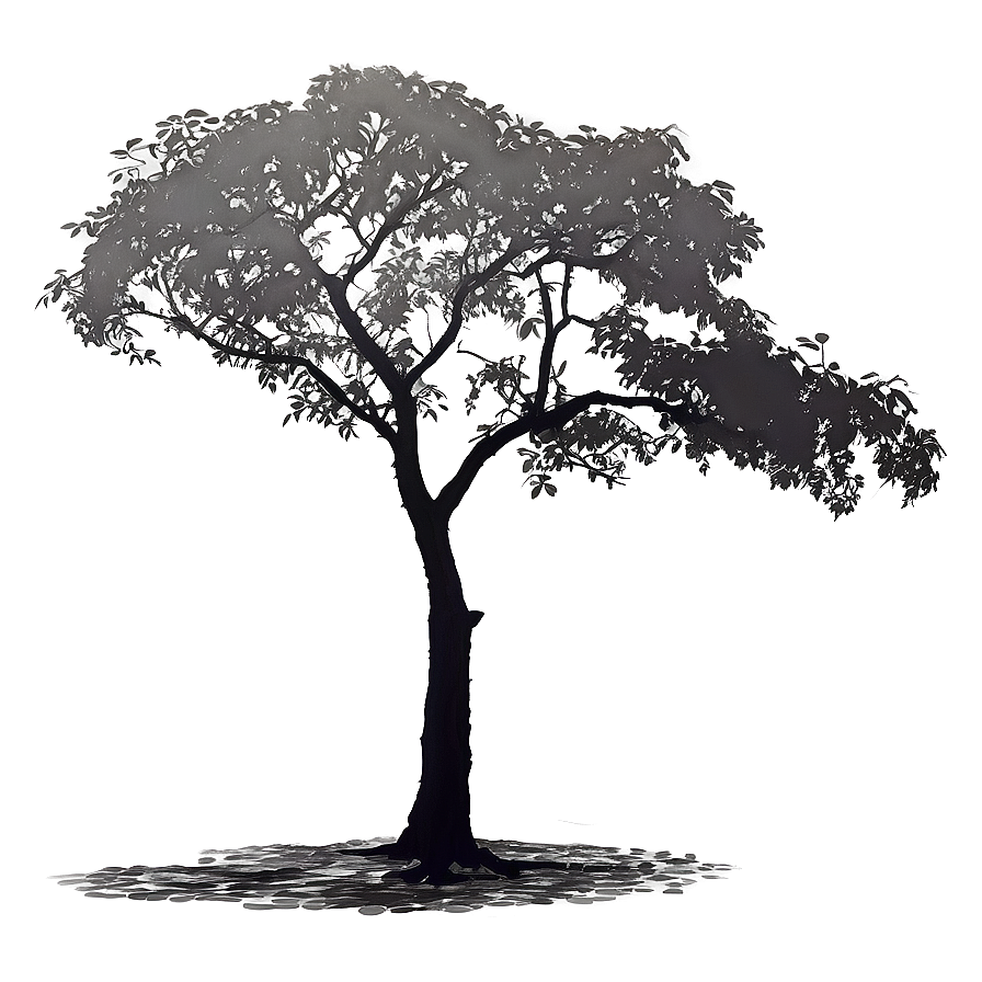 Overcast Tree Shadow Png Agx PNG Image