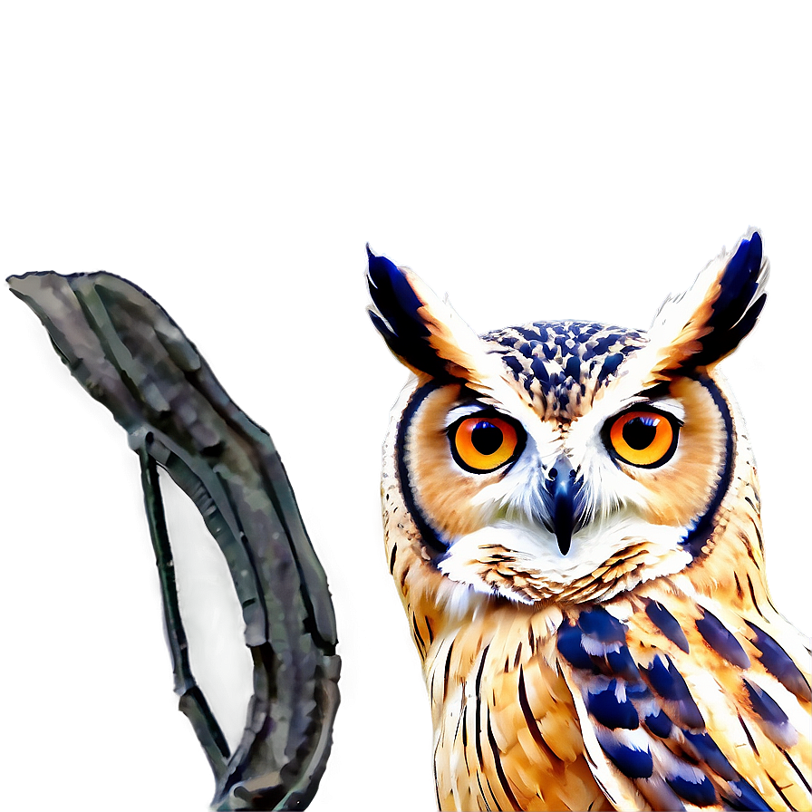 Owl Outline Png Jhs17 PNG Image