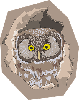 Owl Peeking Through Hole PNG Image