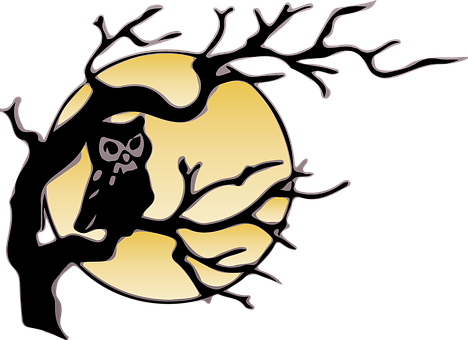 Owl Silhouette Against Moon PNG Image