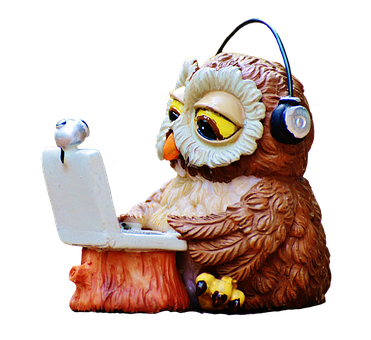 Owl Using Laptop Figurine PNG Image