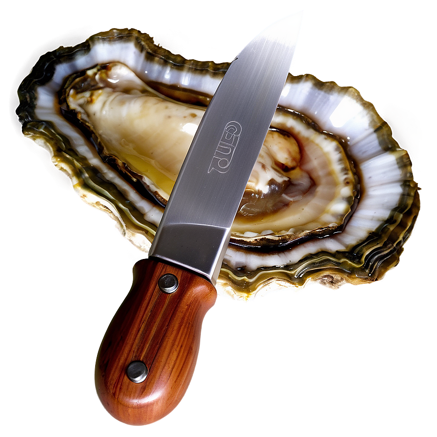 Oyster Knife Png 05042024 PNG Image