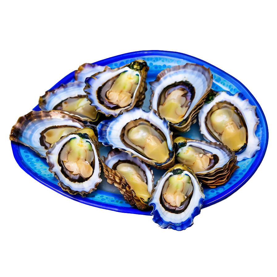 Oyster Nutrition Png 40 PNG Image