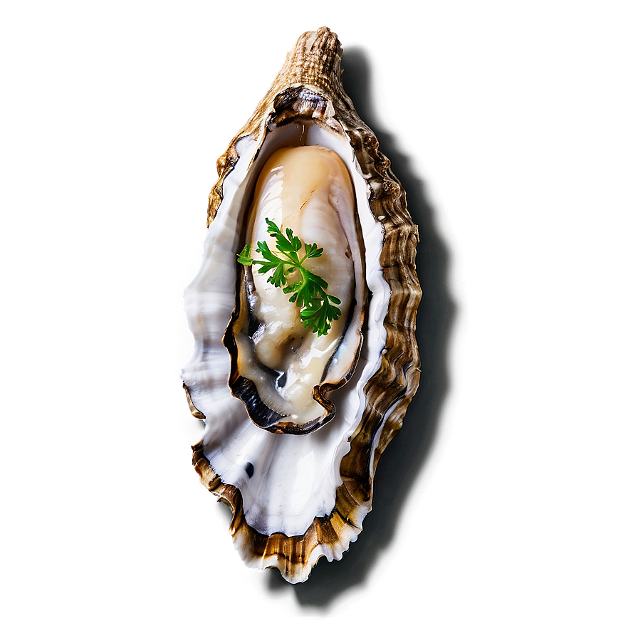 Oyster Party Png Hwu88 PNG Image