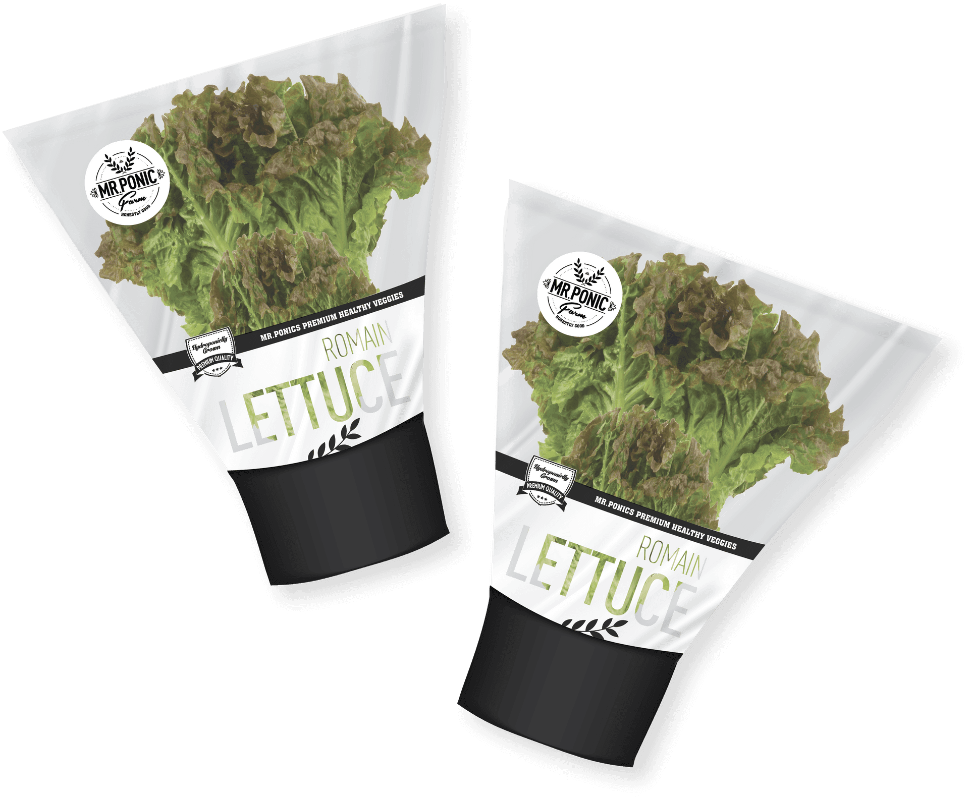 Packaged Romain Lettuce Bags PNG Image