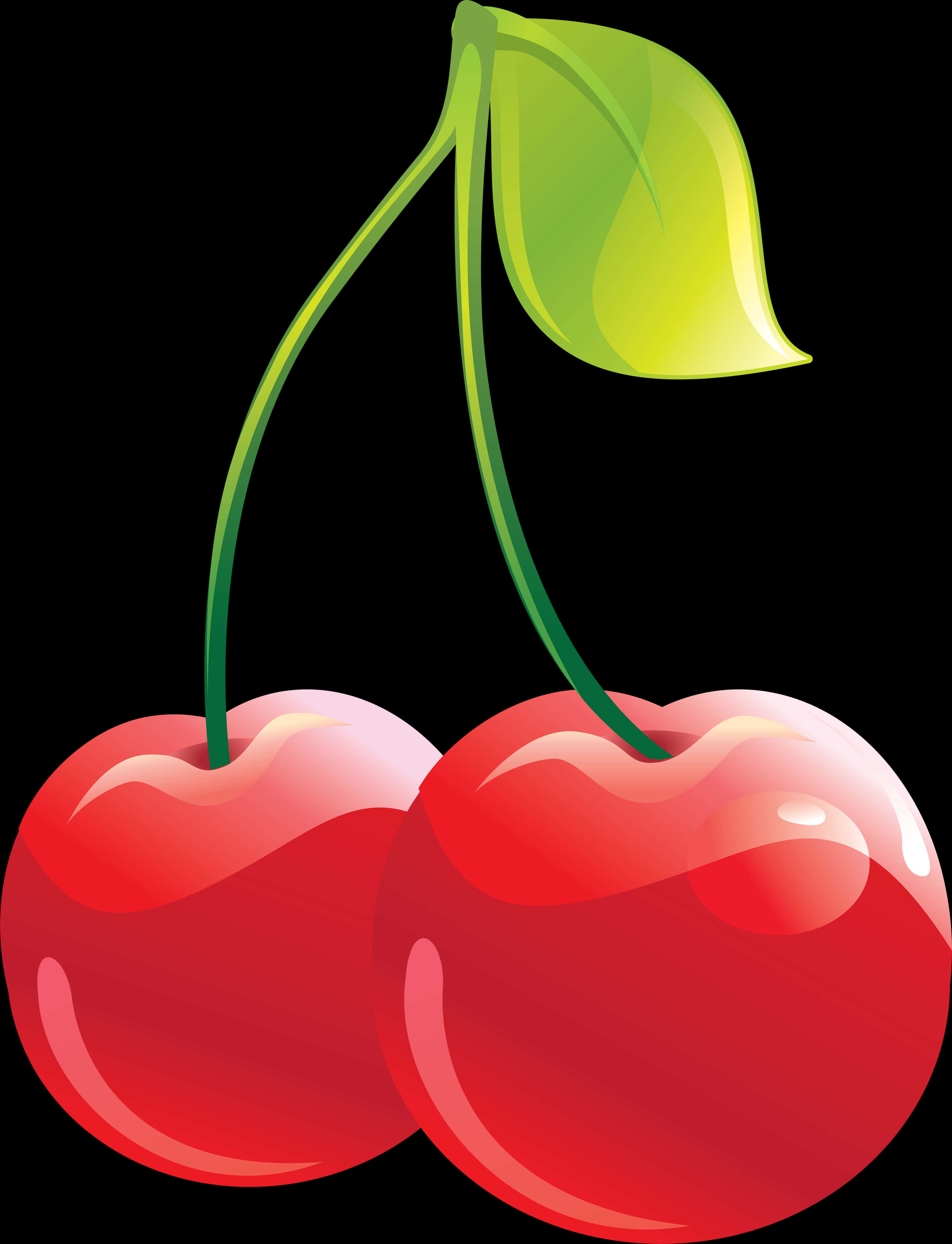 Pairof Cherries Vector Illustration PNG Image