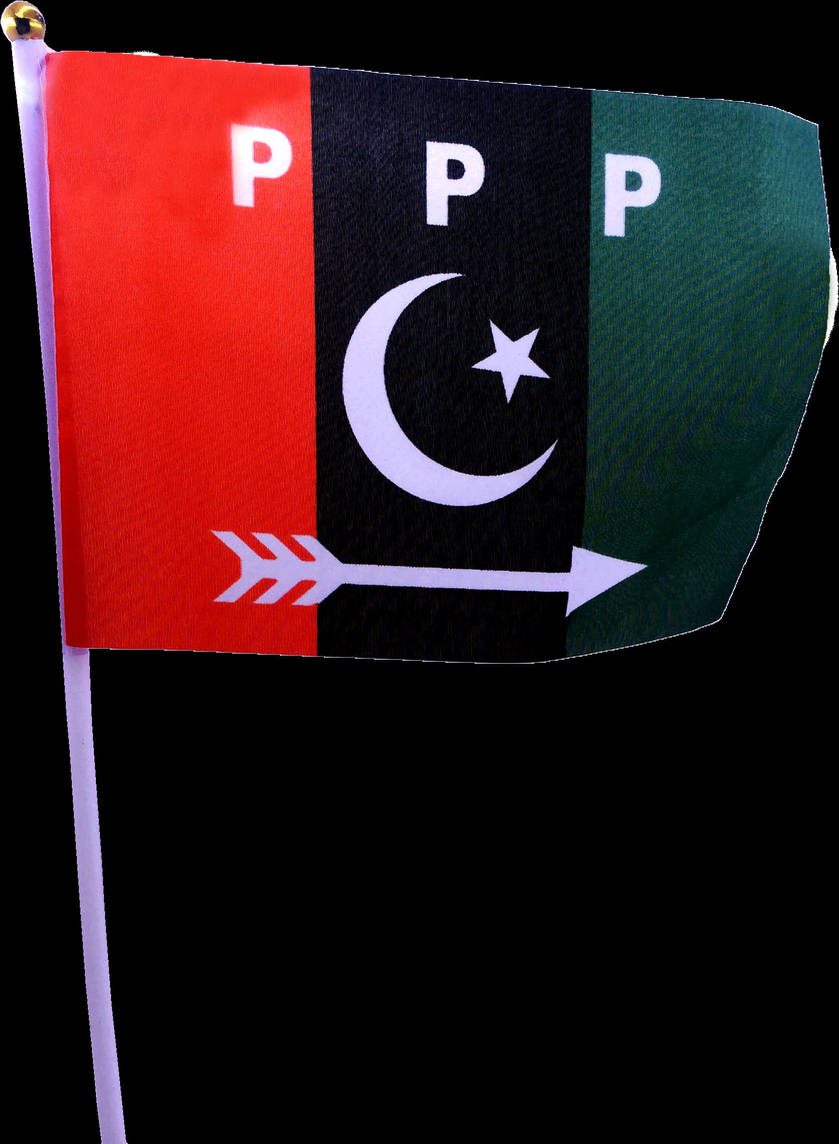 Pakistan Political Party Flag PNG Image