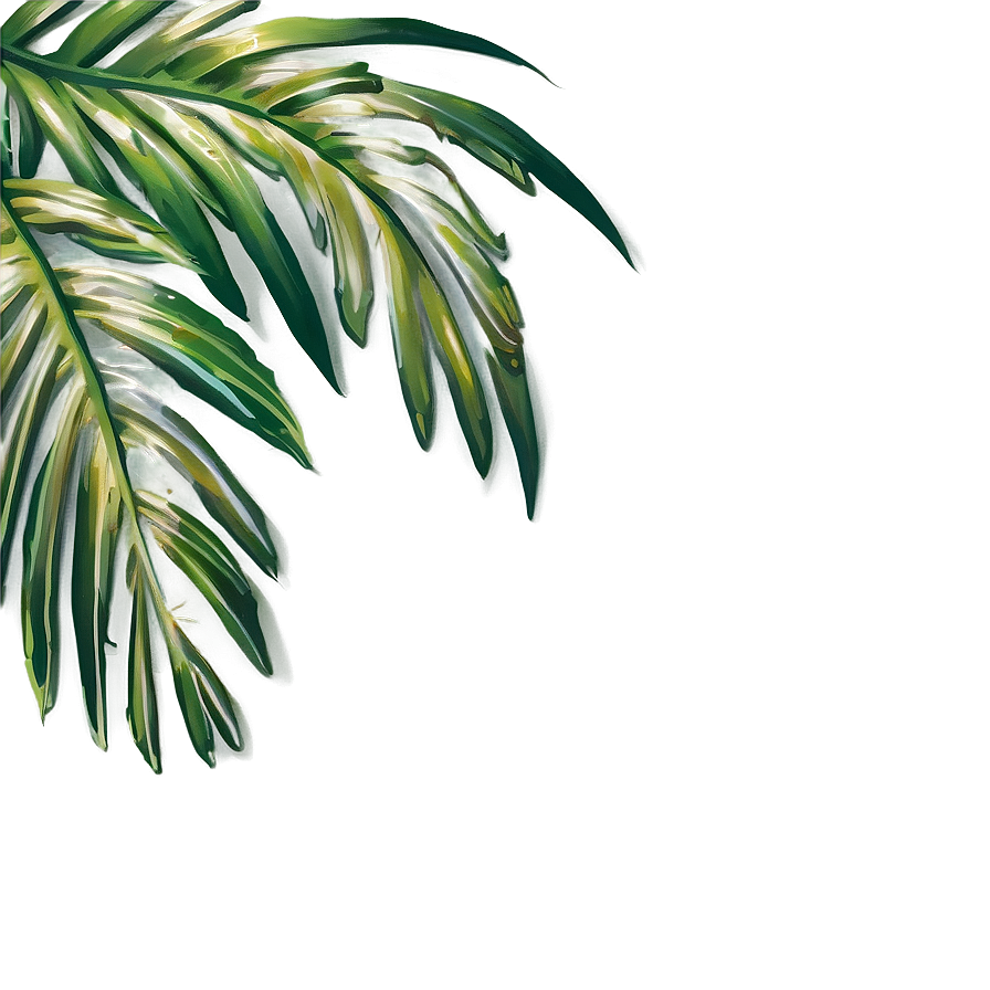 Palm Leaf Border Png Gem PNG Image