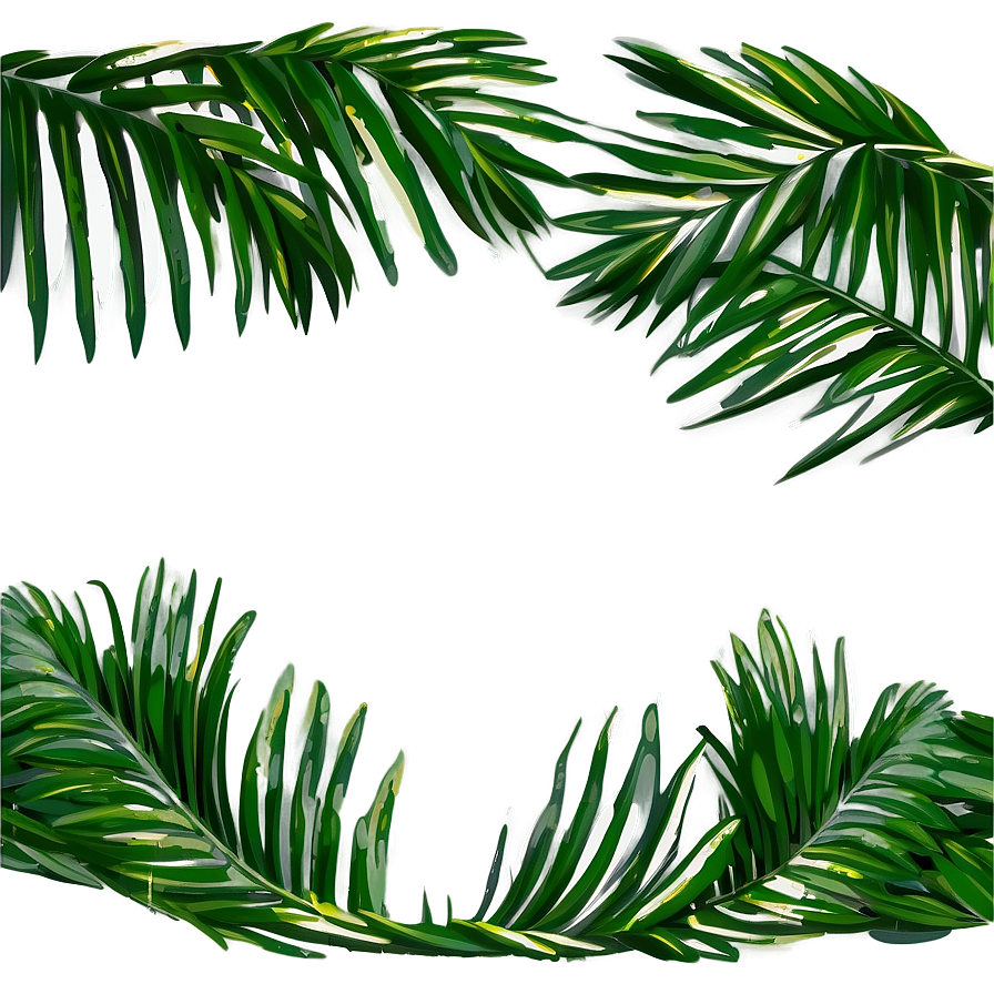 Palm Leaf Border Png Jti PNG Image