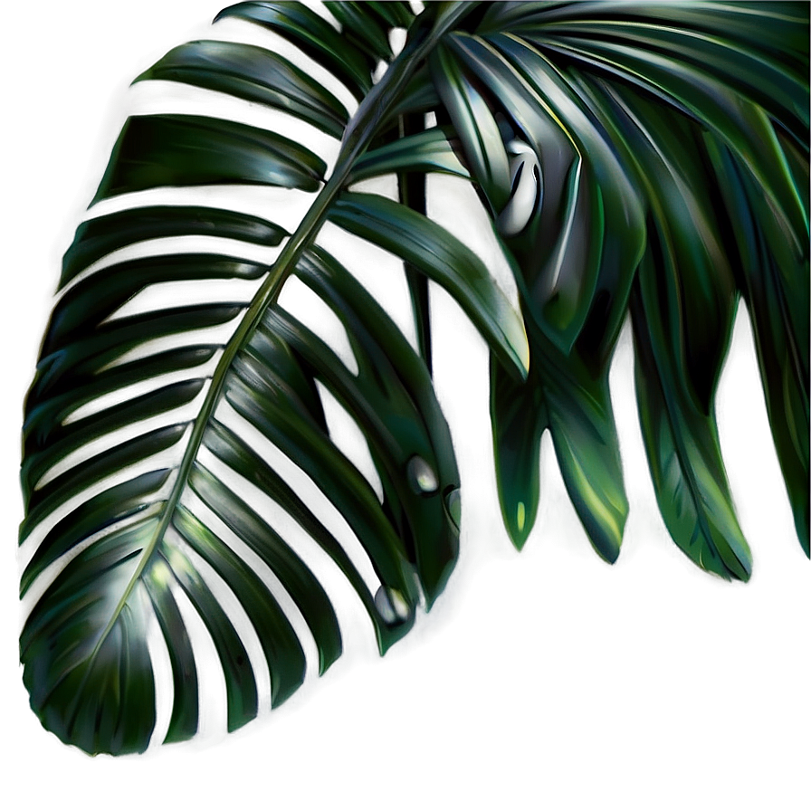 Palm Leaves Icon Png 05252024 PNG Image