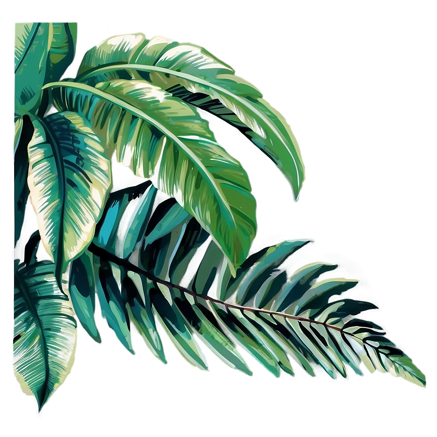 Palm Leaves Illustration Png 50 PNG Image