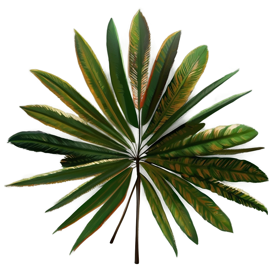 Palm Leaves Illustration Png Sbt44 PNG Image