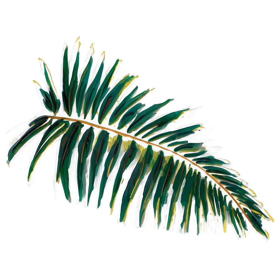 Palm Leaves Png 80 PNG Image